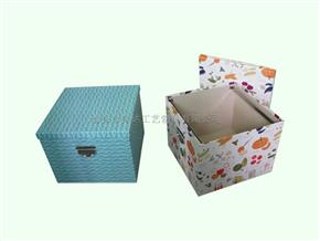 Square Big File Box